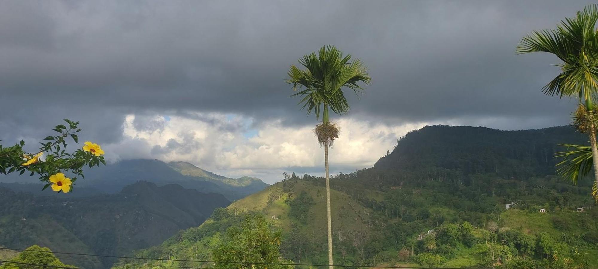 Meditation Monastery Stay Ella Bagian luar foto